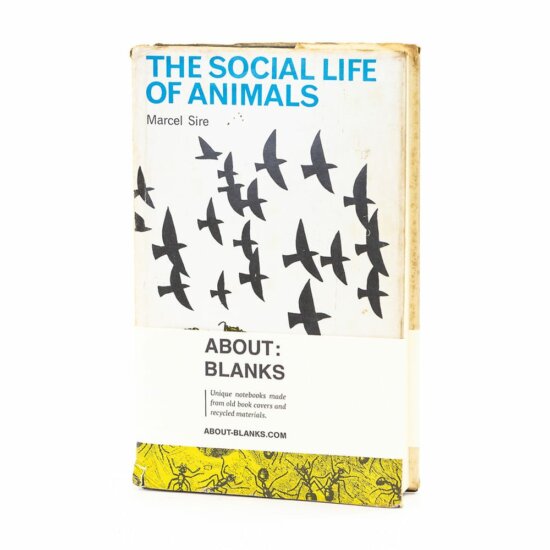 Animals notebook