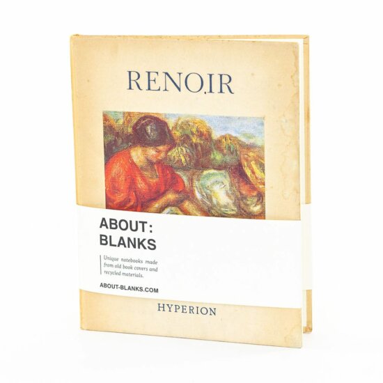 Renoir notebook