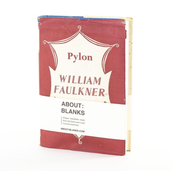 Pylon notebook