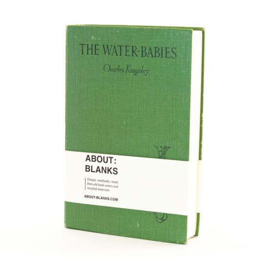 Water-babies notebook